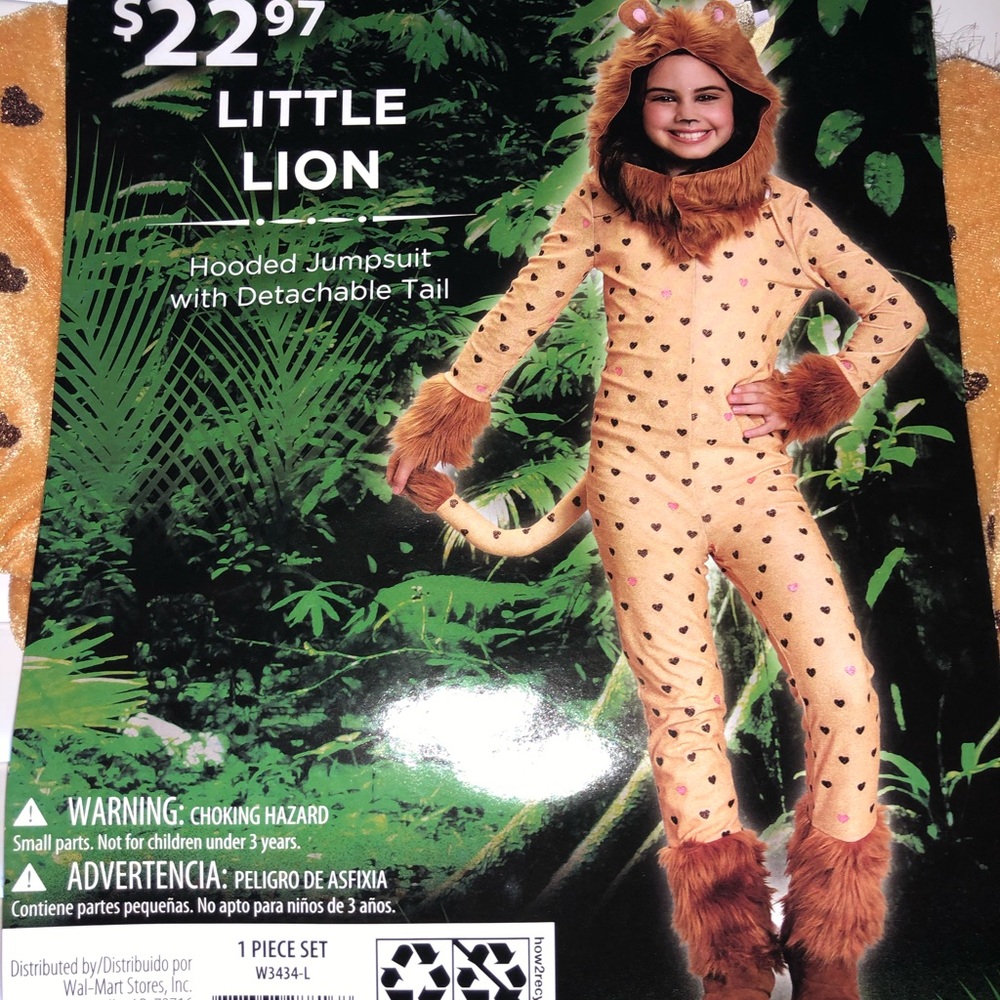Lion costume